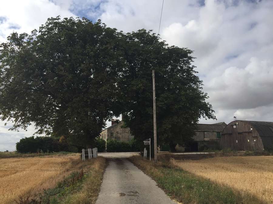Savills Hampole Grange Wakefield Road Hampole Doncaster Dn6
