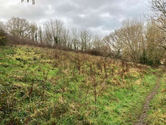 Other commercial for sale - Amenity Woodland, Milford Lane, Plymouth
