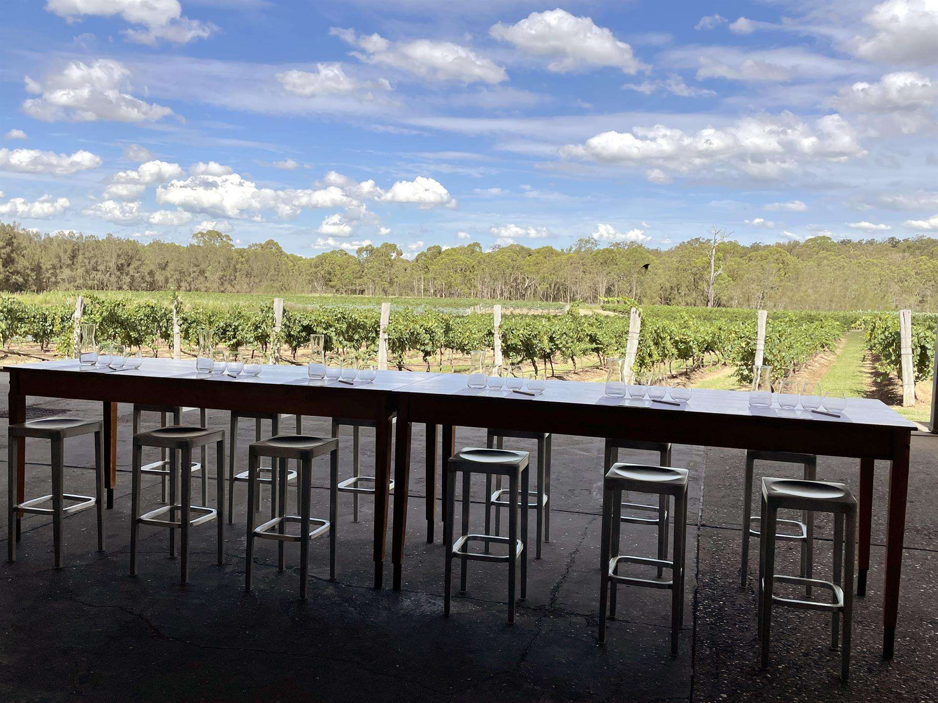 David Hook Wines - Pothana Vineyard, Belford, HUNTER VALLEY NSW, Belford - Thumbnail 4