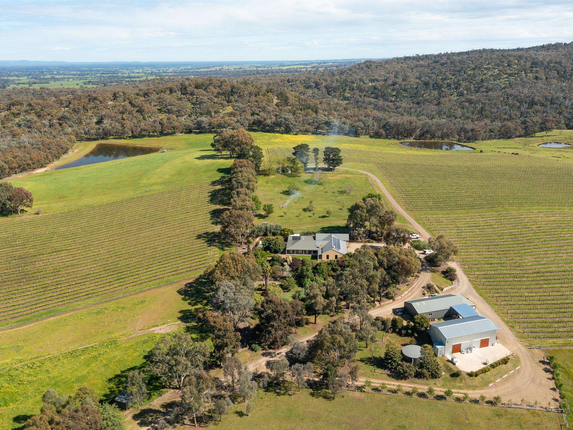 Serengale Vineyard, Everton Upper, BEECHWORTH VIC Property for sale