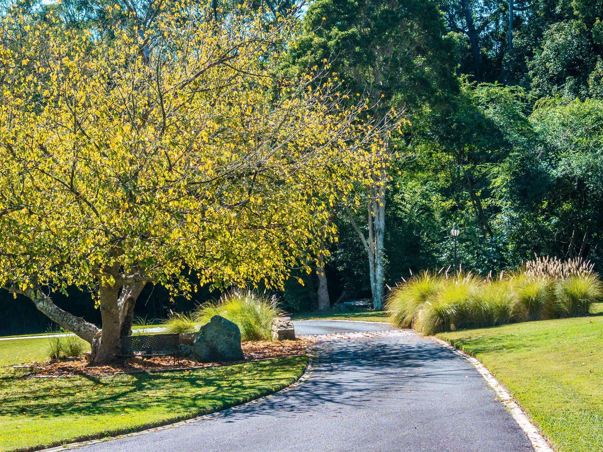 176 Oak Rd, Matcham NSW, Matcham - Thumbnail 3