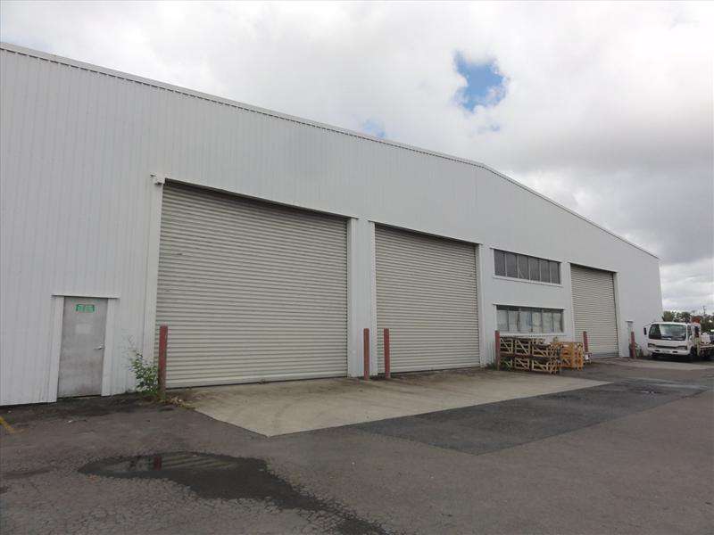 56 Theodore Street, Eagle Farm Property to rent Savills