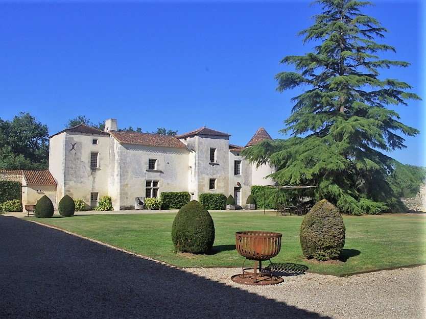 Savills Property for sale in ChâteauneufsurCharente, Poitou