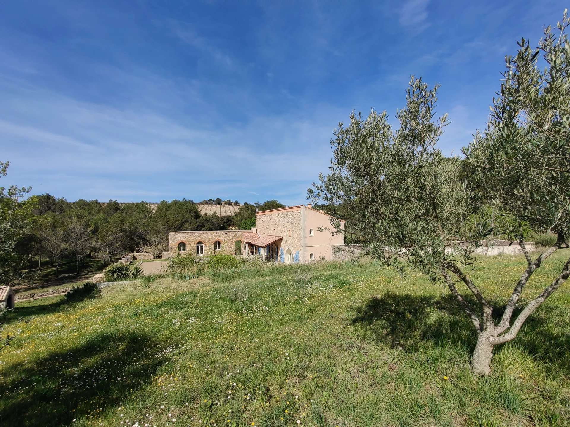 Minerve, Hérault Property for sale Savills