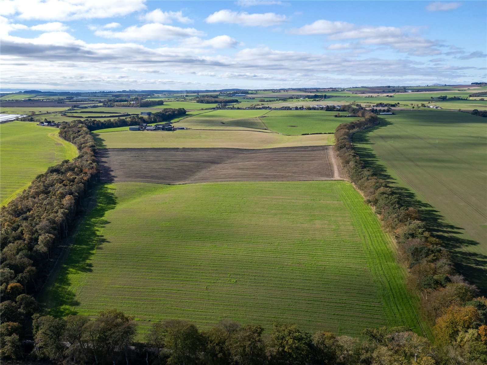 Whitehall Farm, Colliston, Arbroath, Angus, DD11 3RW