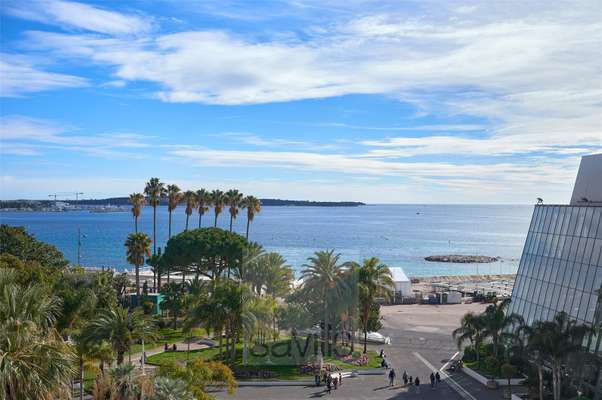 Cannes Sea Views