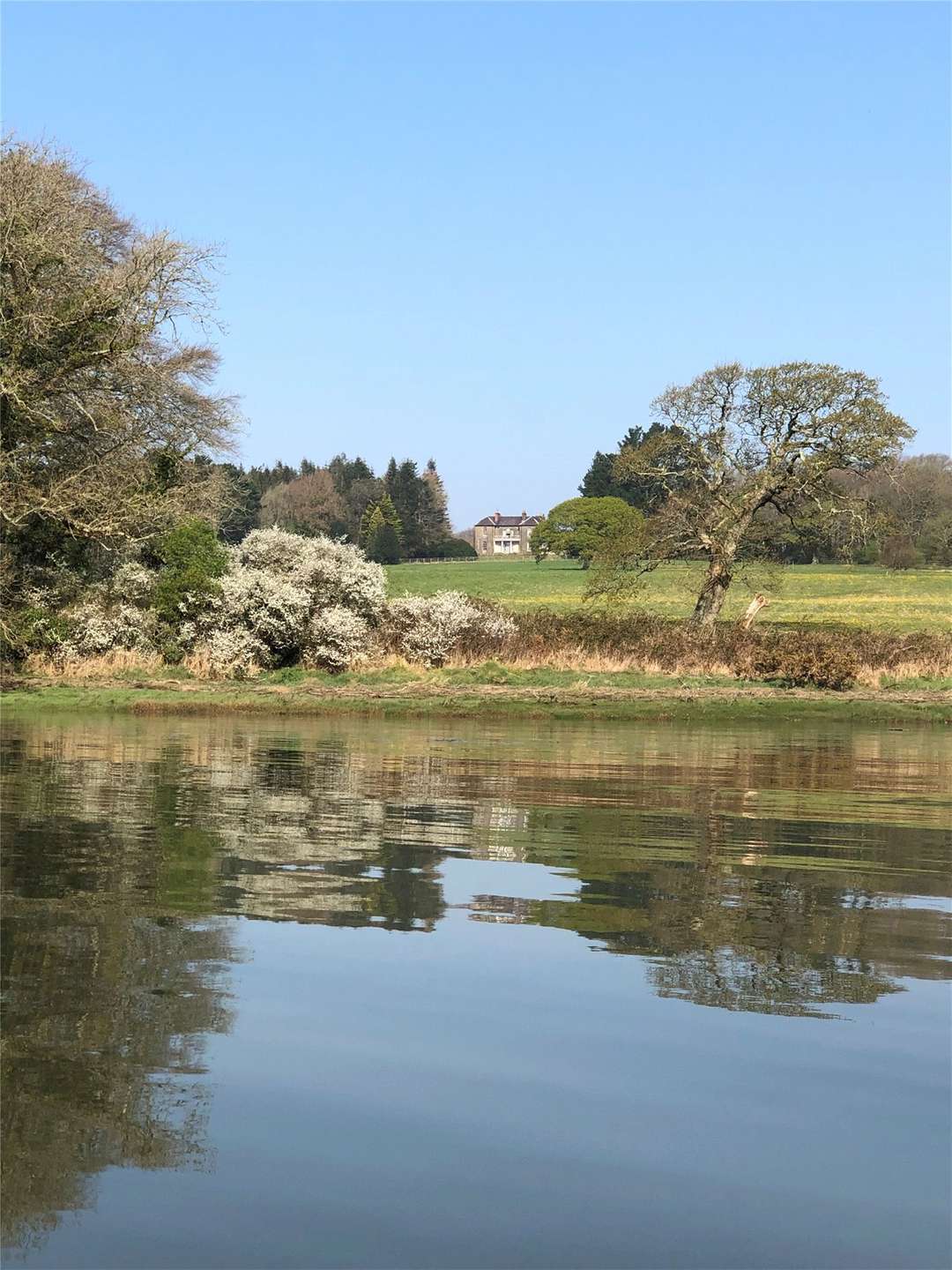 Estates for sale in Europe Savills