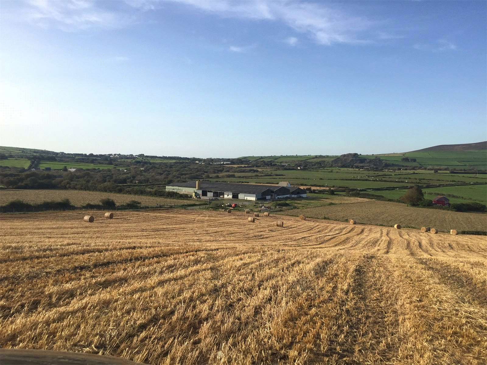 Dairy farms for sale in UK Savills