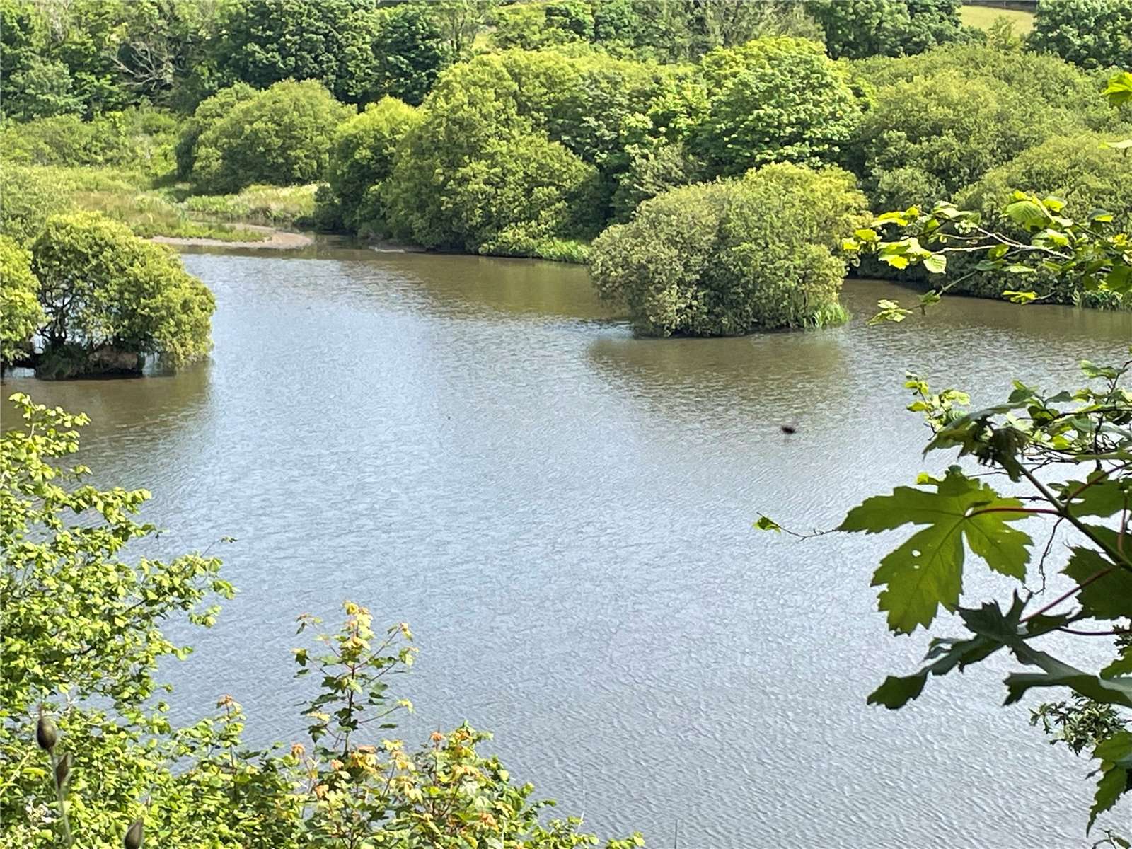 An Oasis of Tranquility in Pembrokeshire 2