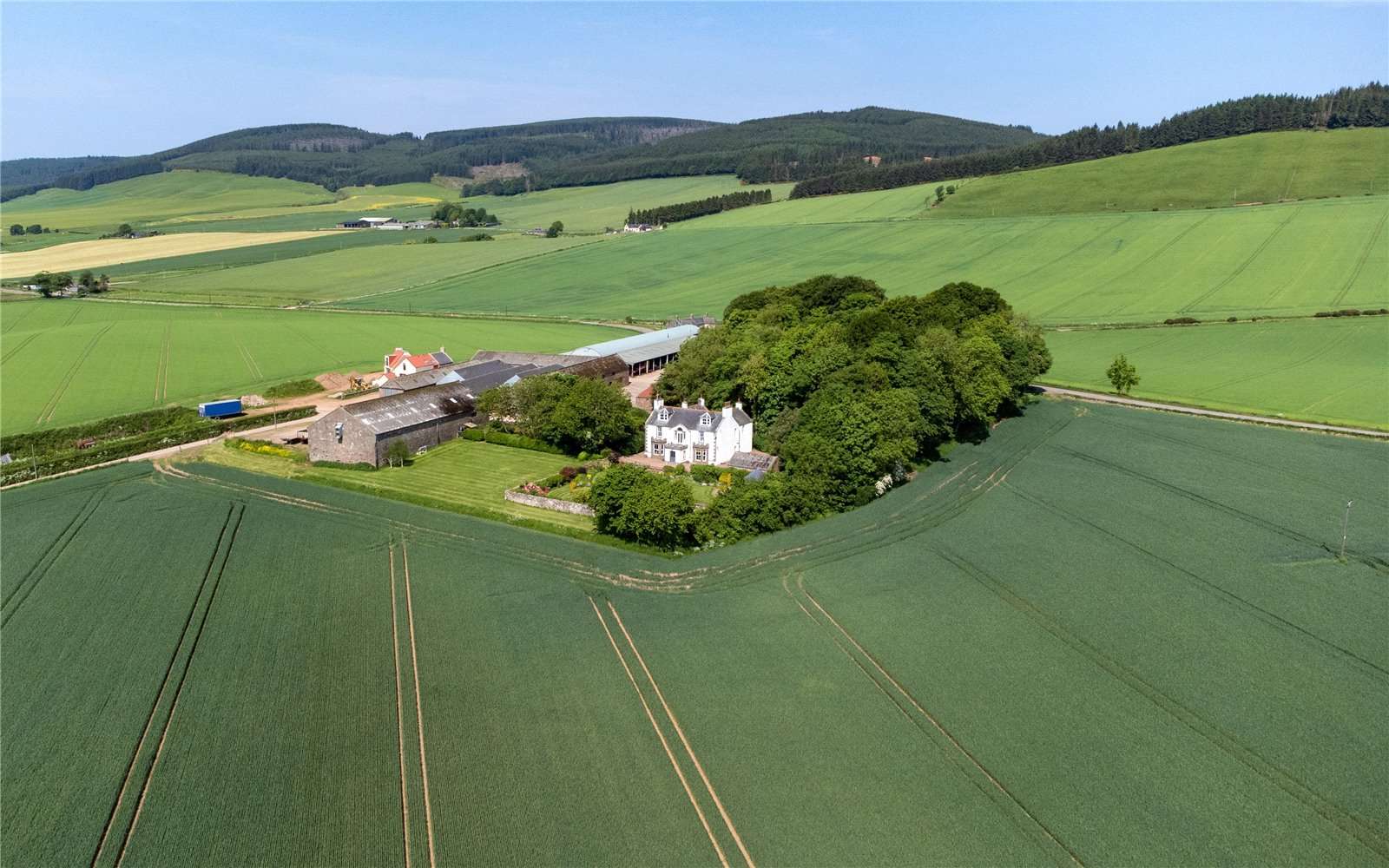 Farms for sale in Angus, Scotland and Aberdeenshire, Scotland Savills