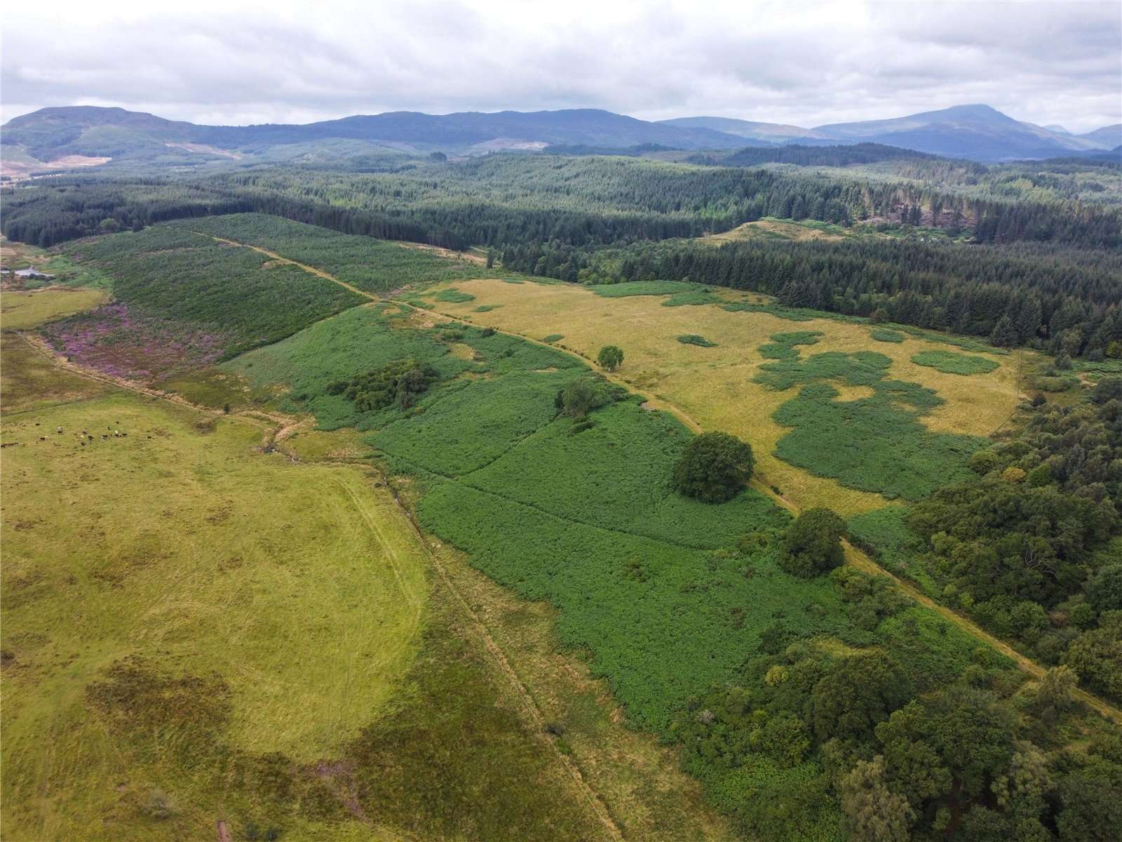 Gartmore, Stirling, Stirlingshire, FK8 3RY Property for sale Savills