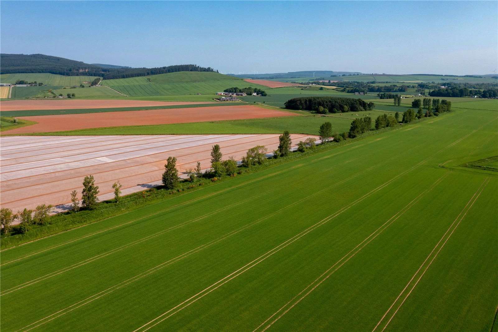 LOT 2 Cairnton Farm, Fordoun, Laurencekirk, Kincardineshire, AB30 1SN Property for sale Savills