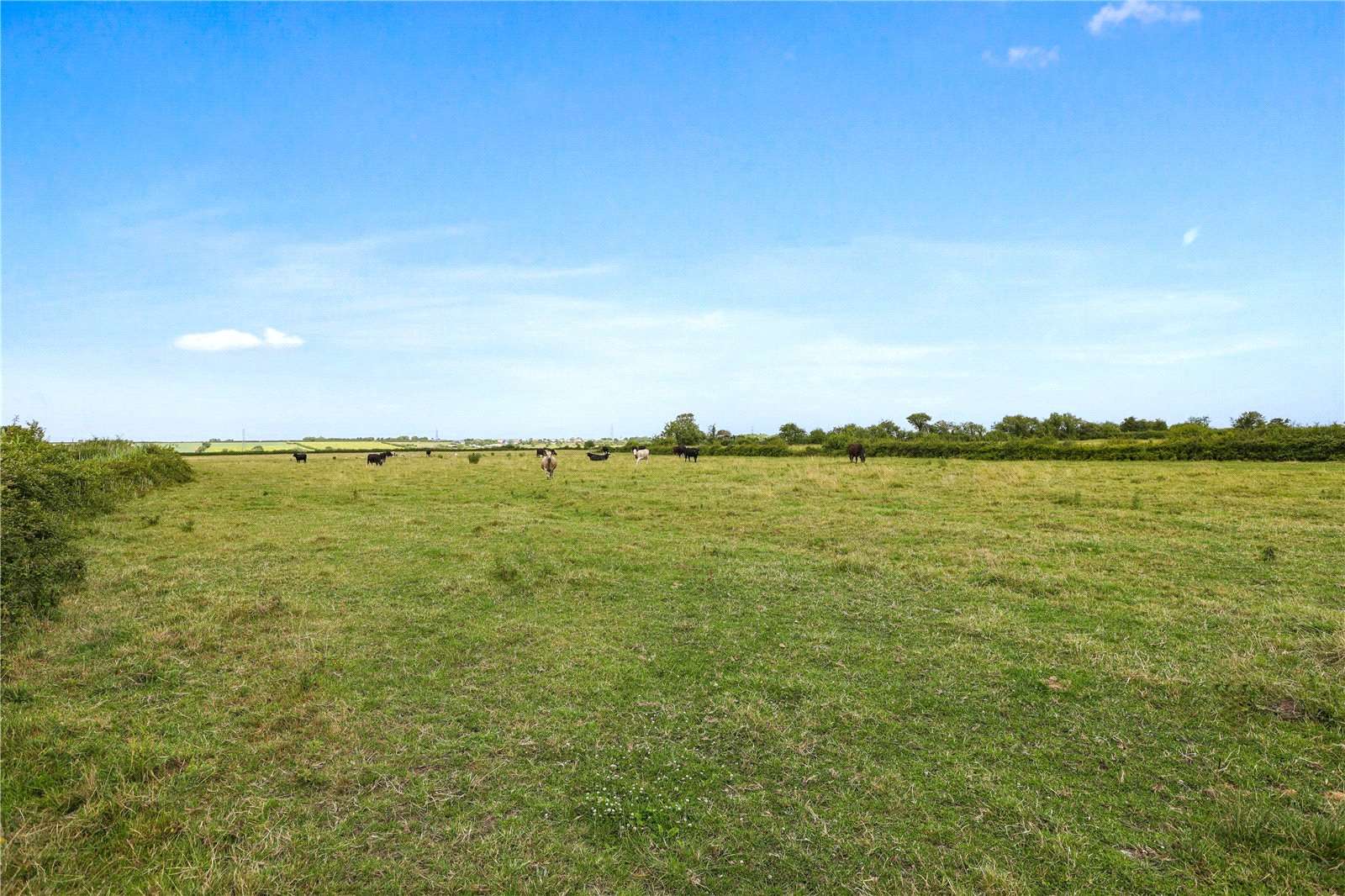 Savills Property for sale in Kilve, Somerset