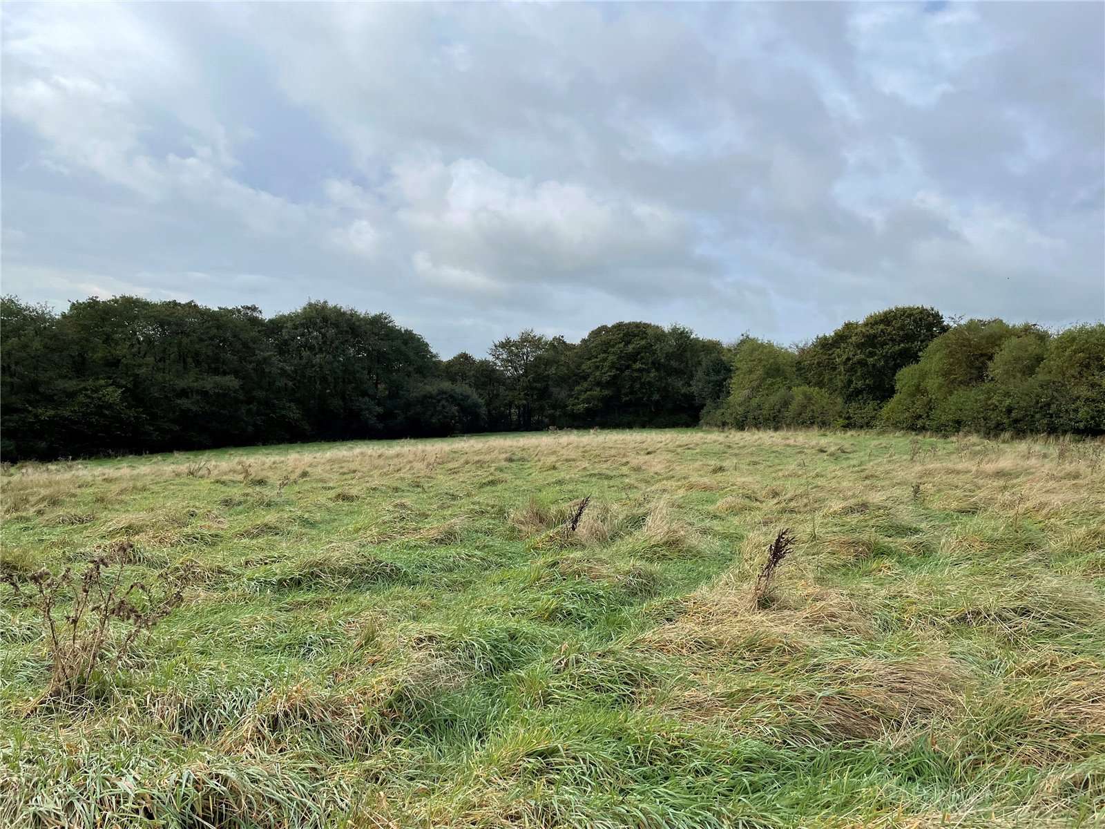 Land At Cookbury Lot 3, Cookbury, Holsworthy, Devon, EX22 7YJ