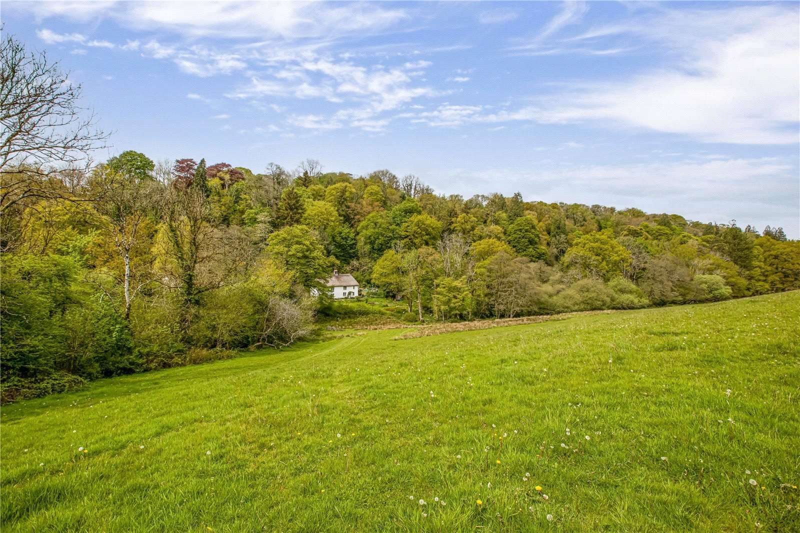 Halsdon Mill Lot 1, Dolton, Winkleigh, Devon, EX19 8RF 財產 待售 第一太平戴維斯