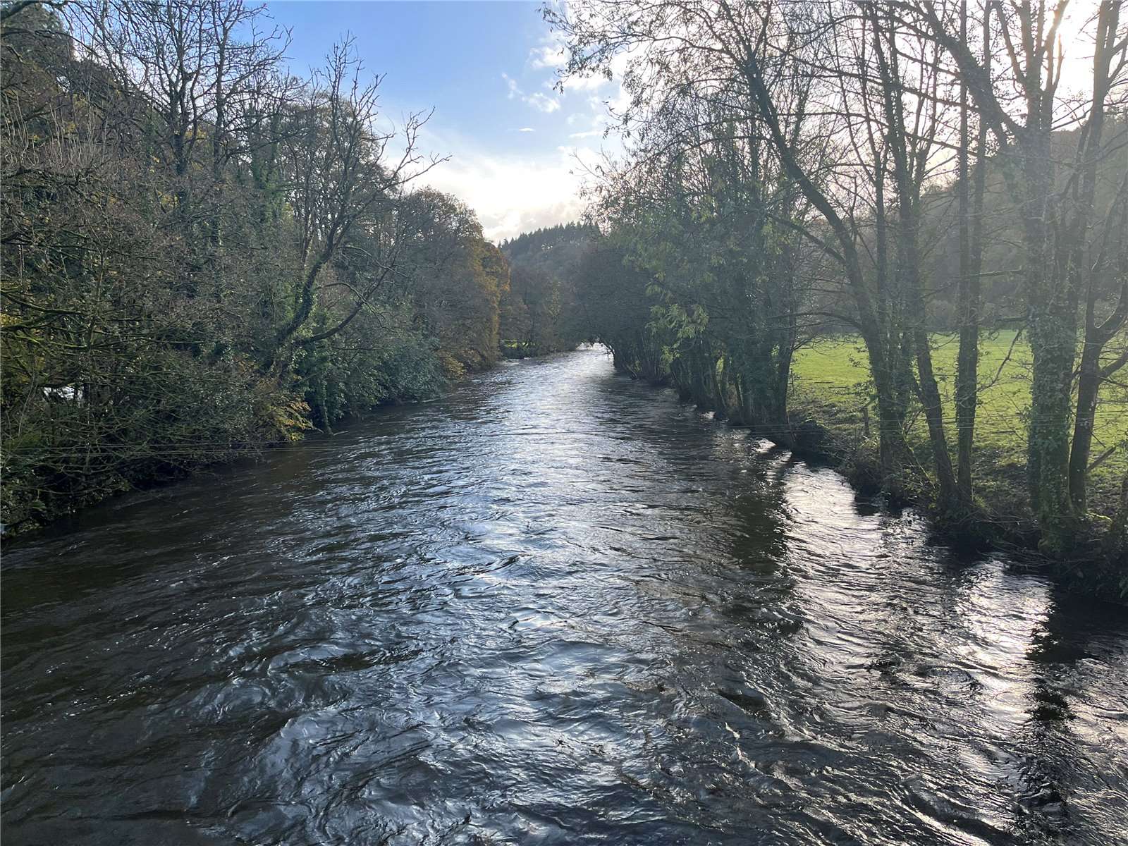 Fishing Rights On The River Exe, Lower Washfield, Tiverton, Devon, EX16