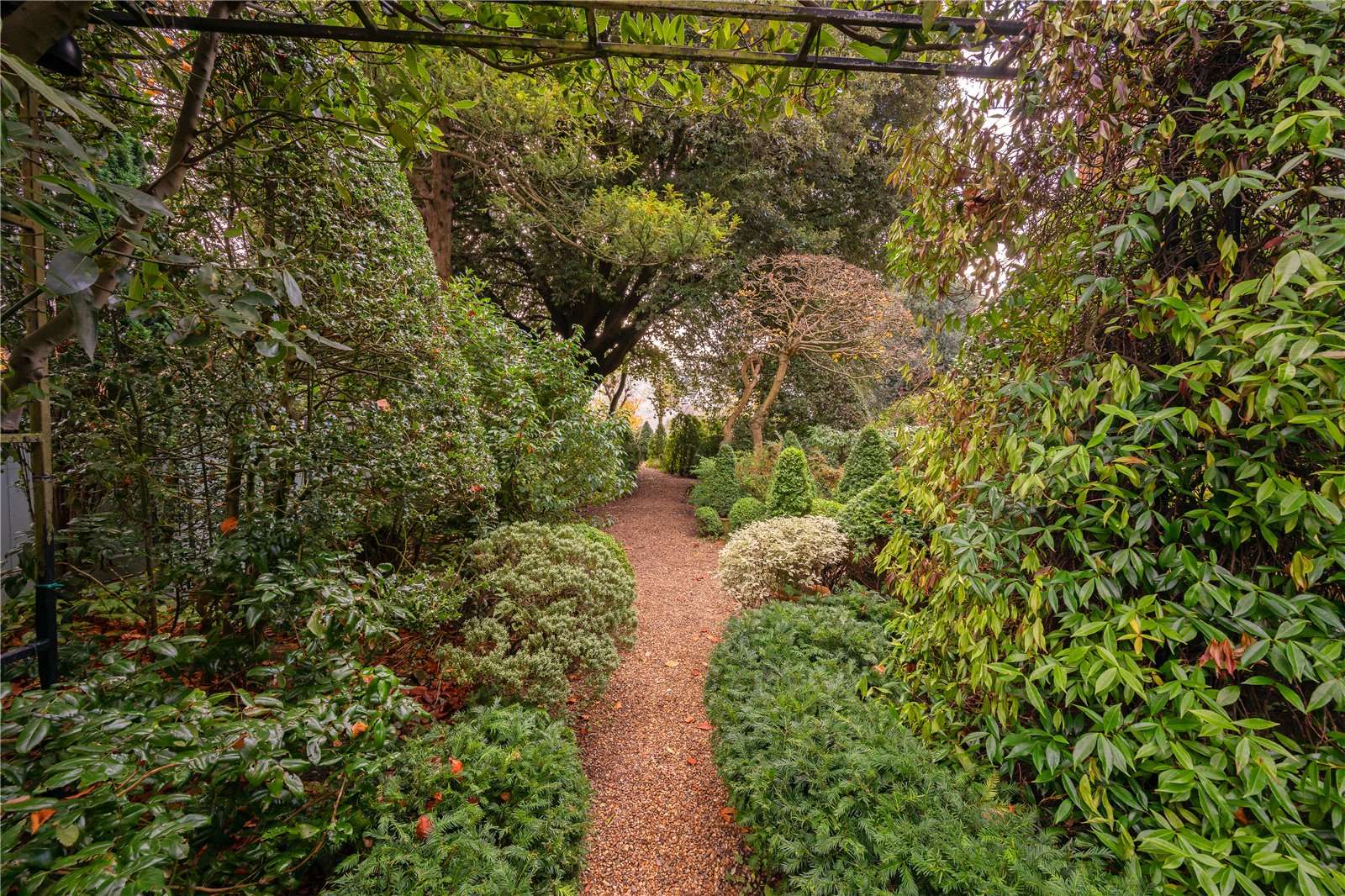 The Mount, London, NW3 6SZ | Property for sale | Savills