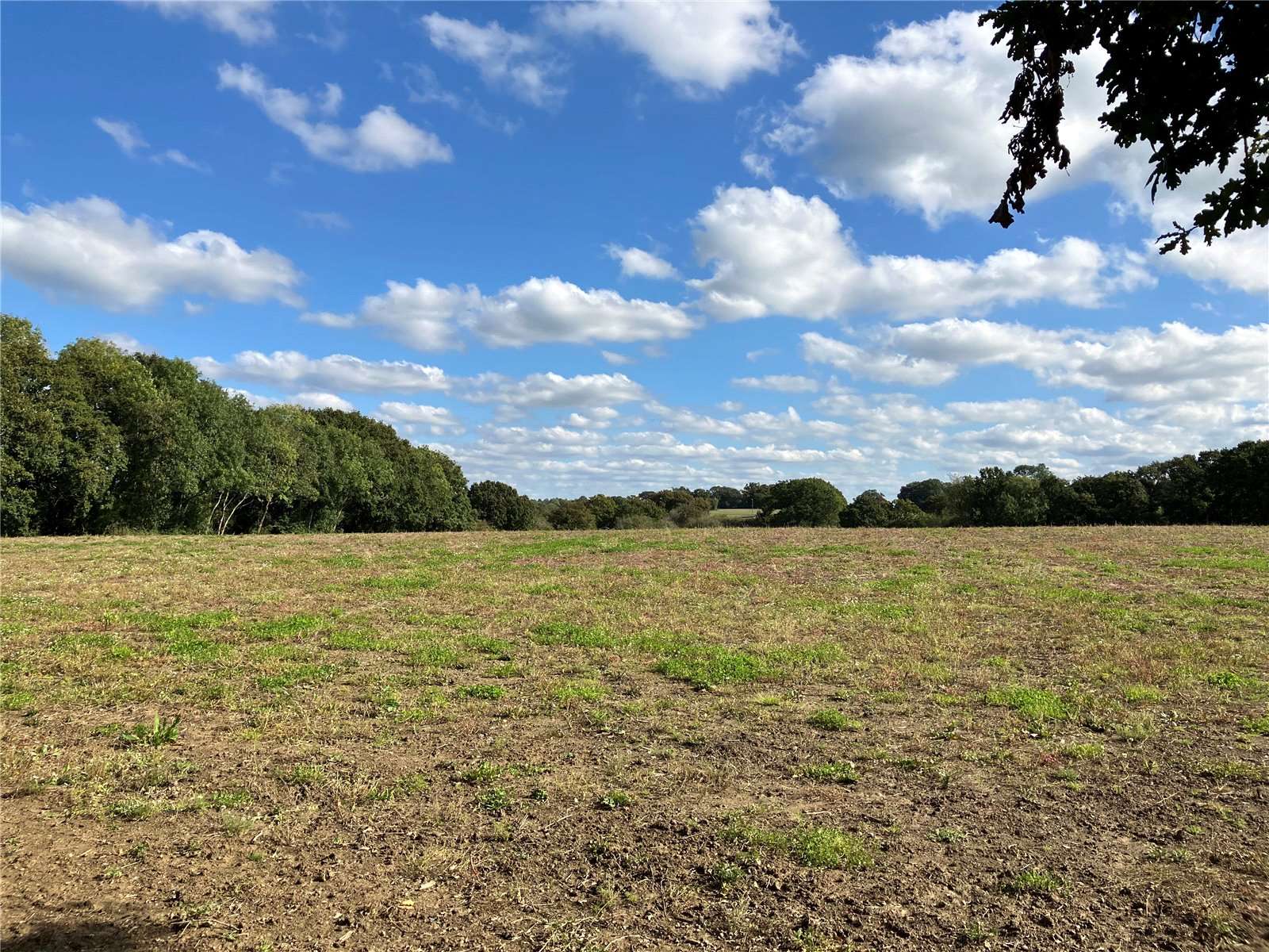 Littleworth, Partridge Green, Horsham, West Sussex, RH13 8JX | Property for sale | Savills