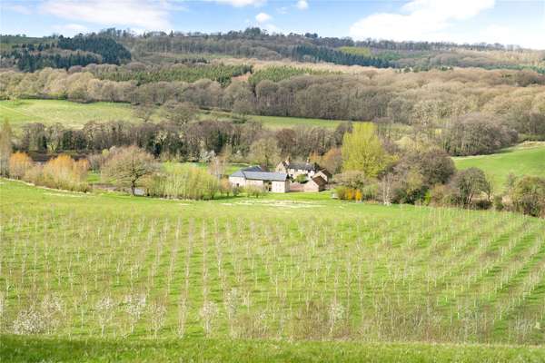 Wild Cherry Farm Elton Contemporary Country Living 12