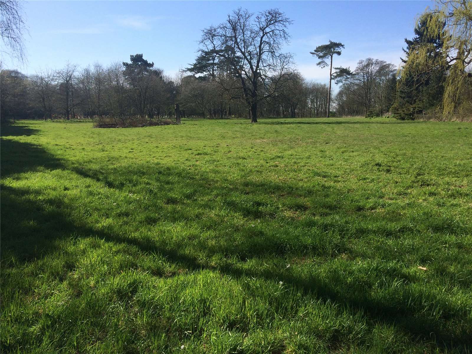 Hadleigh Road,, East Bergholt, CO7 6QT Property for sale Savills