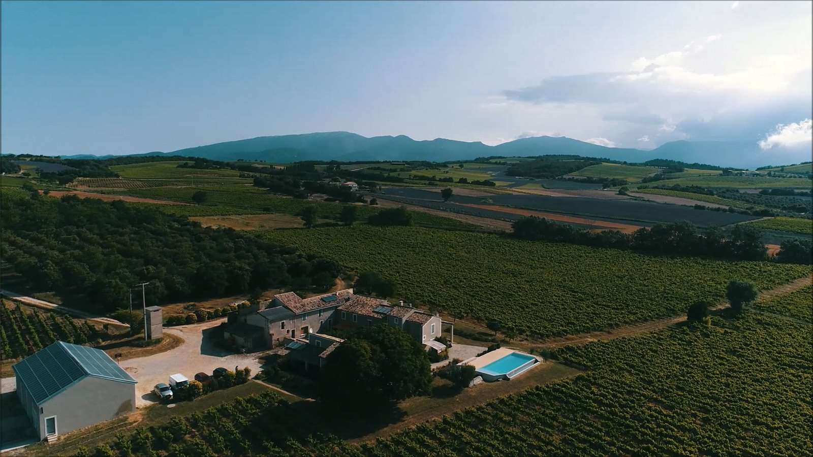 Vineyard, Provencal Drôme Property for sale Savills