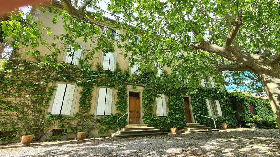 Vineyard, Corbieres, Langeudoc Roussillon Property for sale Savills