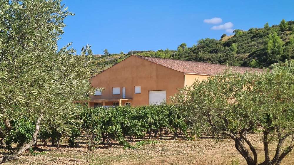 Vineyard Property for sale Savills