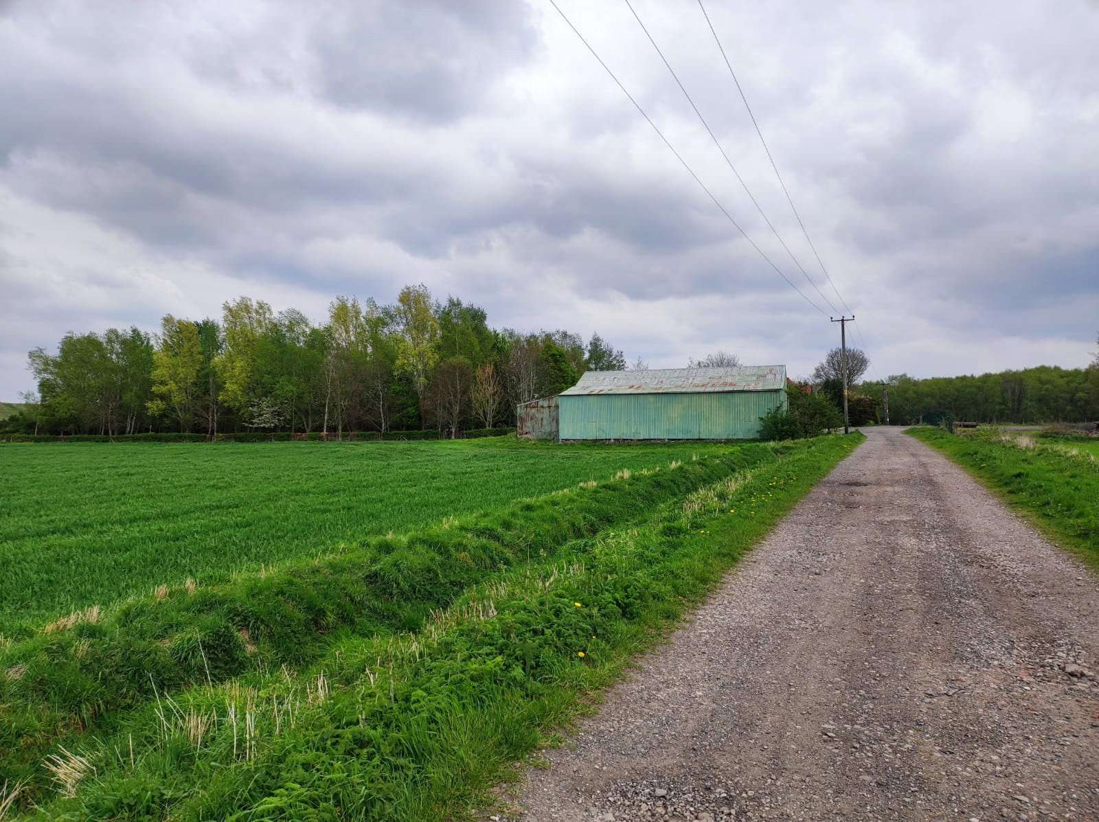 Woodend Lane, Rixton, Warrington, WA3 6EG Property for sale Savills