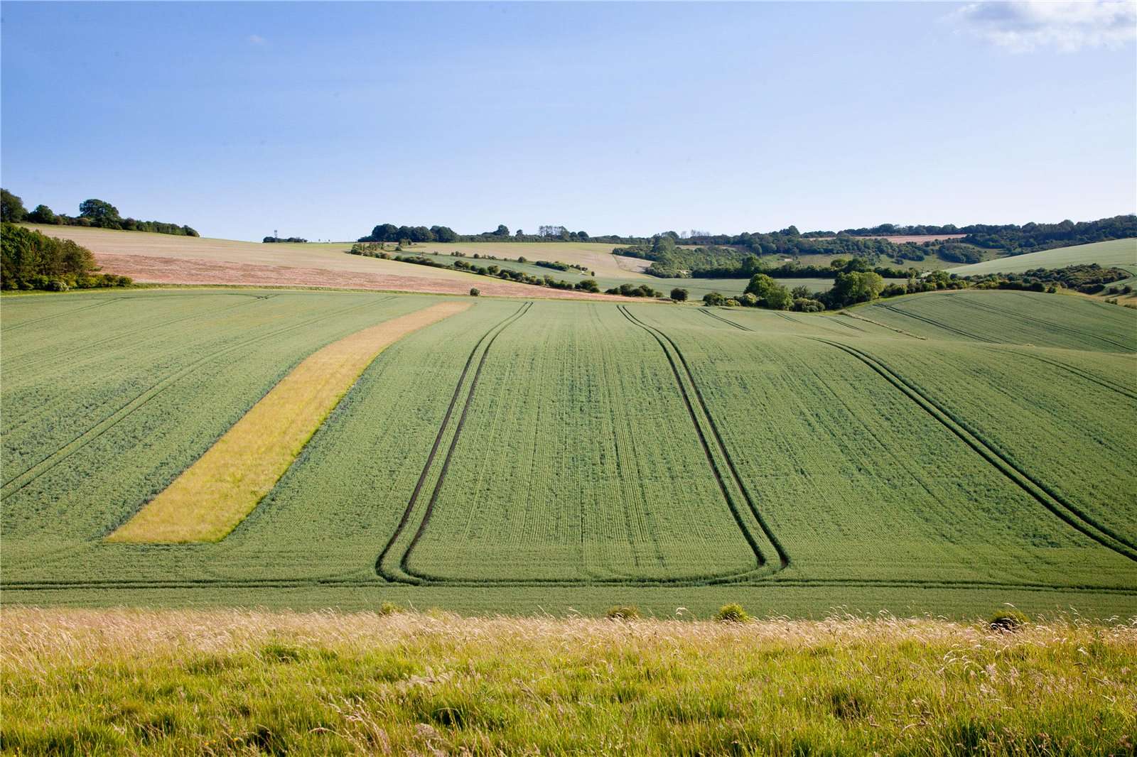 An Estate to Cultivate Dreams 2