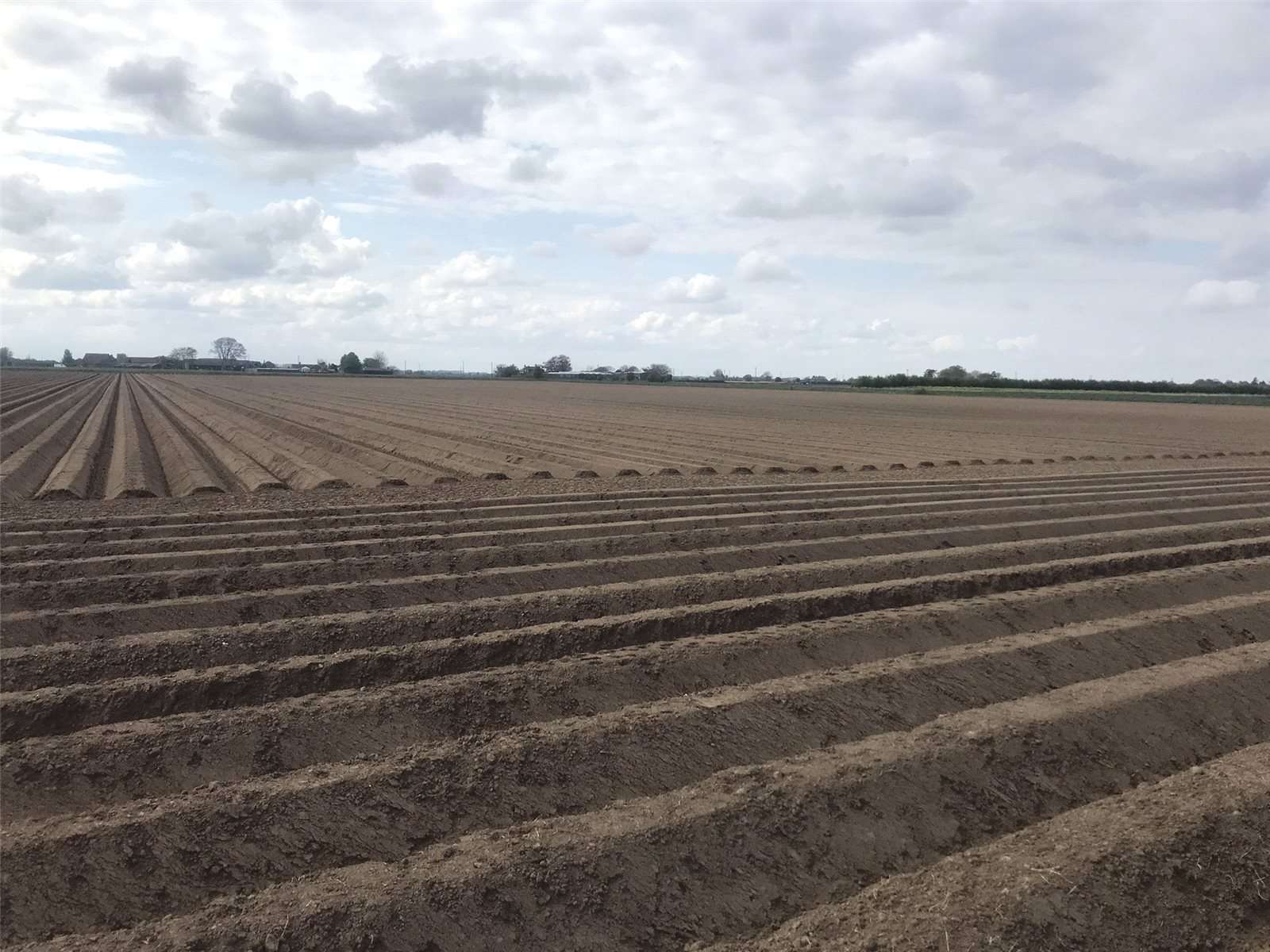 Farms for sale in Lincolnshire, England Savills