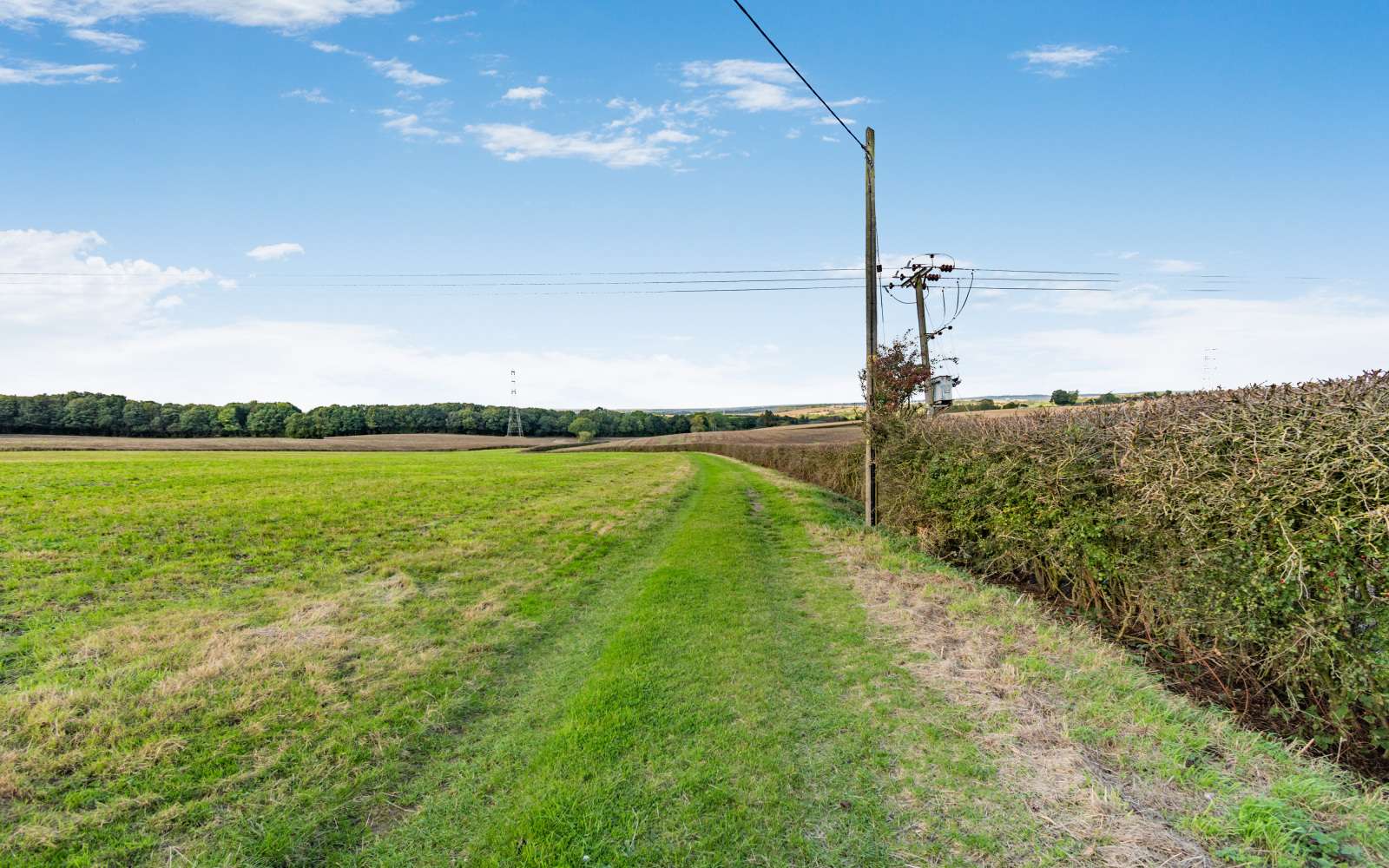 Verdant Acres in Derbyshire's Highlands 2