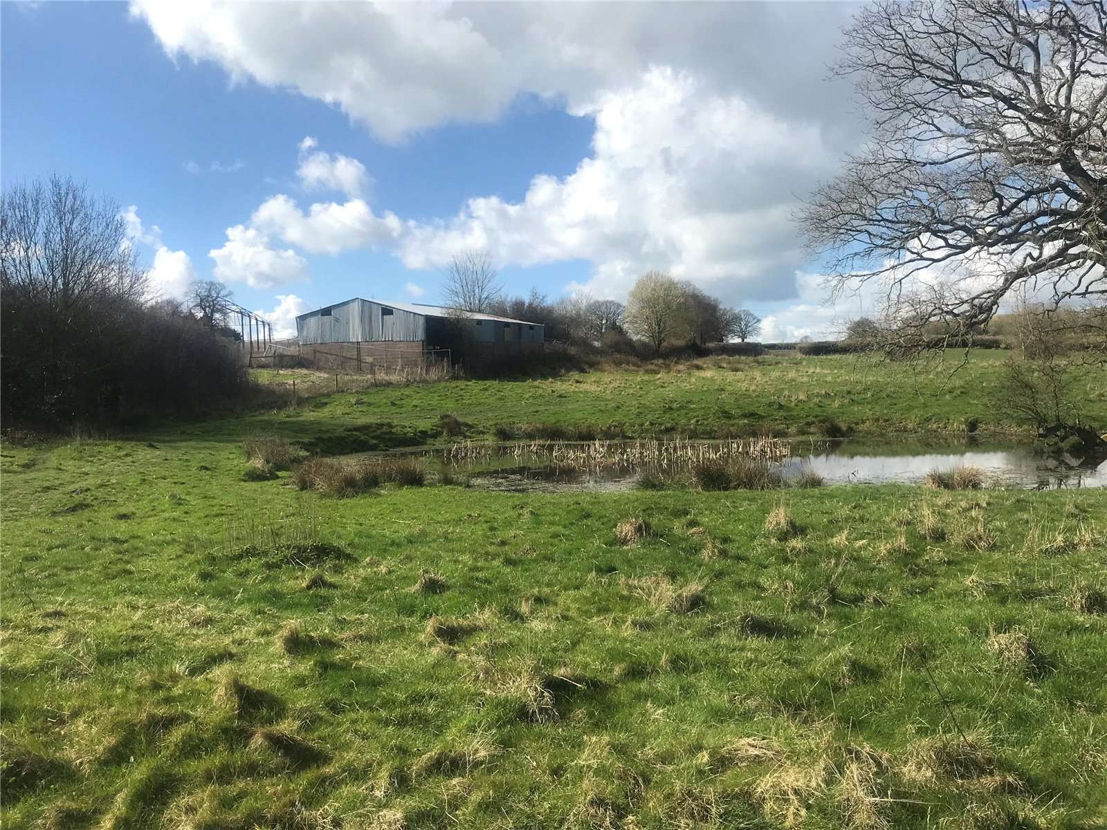 Property for sale in Madeley, Telford and Wrekin Savills