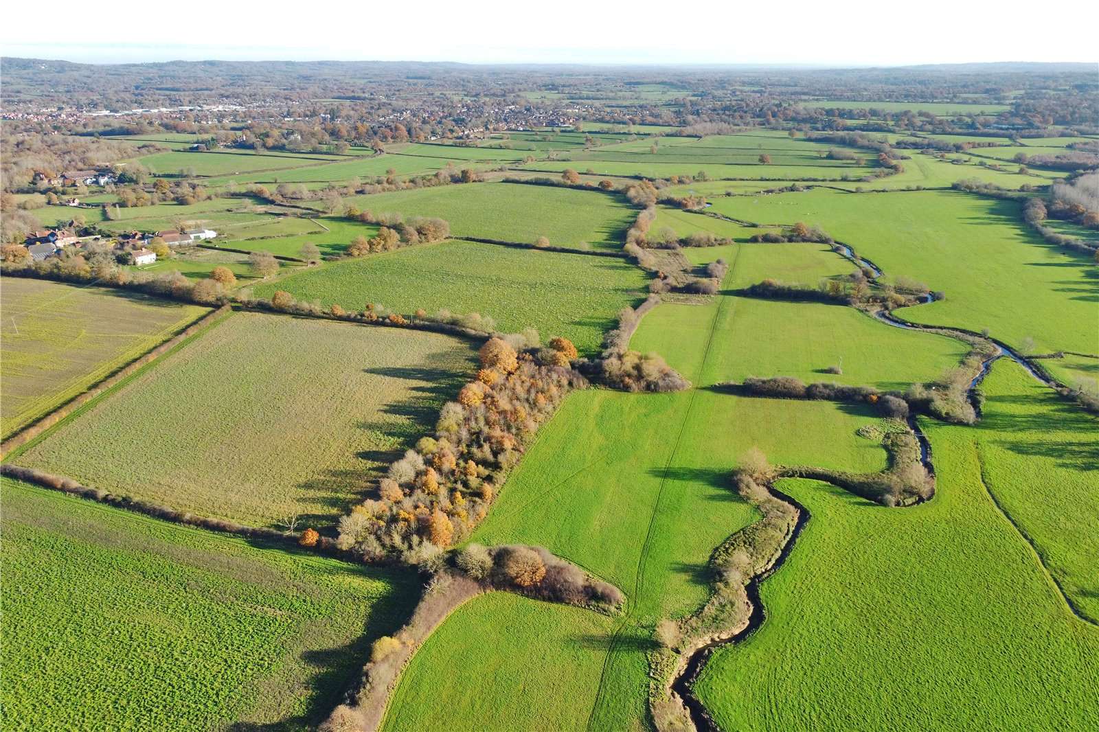 Livestock farms for sale in Friars Gate, East Sussex Savills