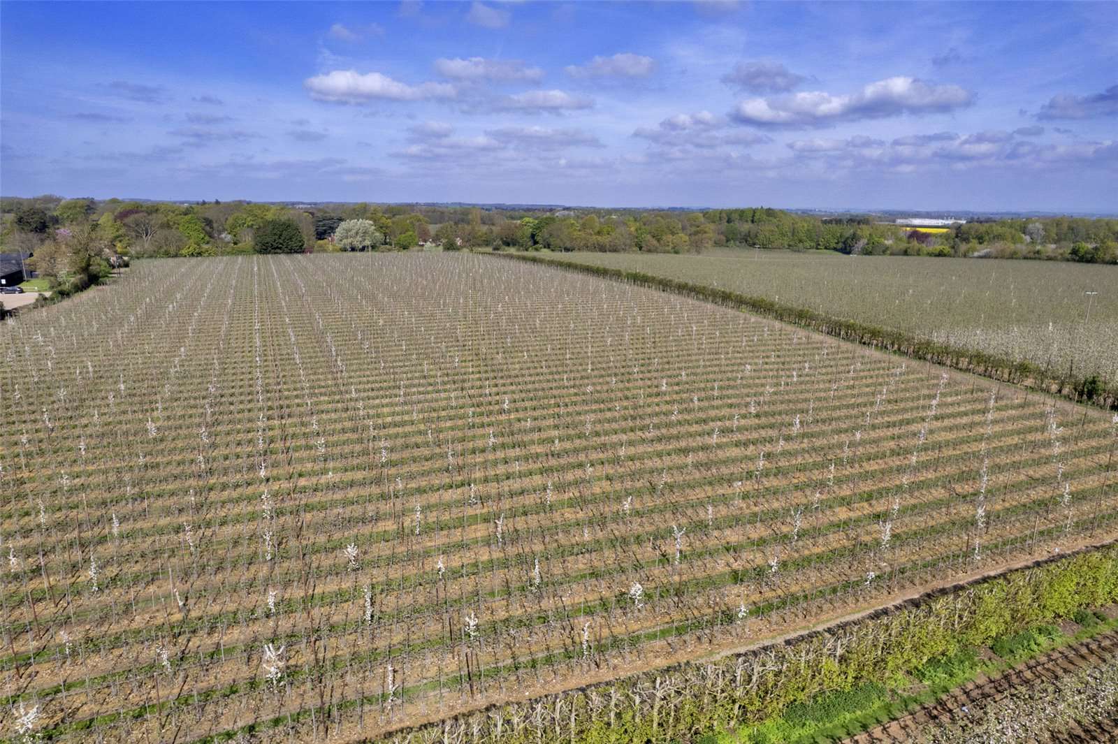 Farms for sale in Kent, England Savills