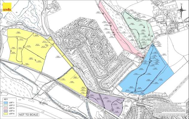 The Essence of Countryside Elegance 4