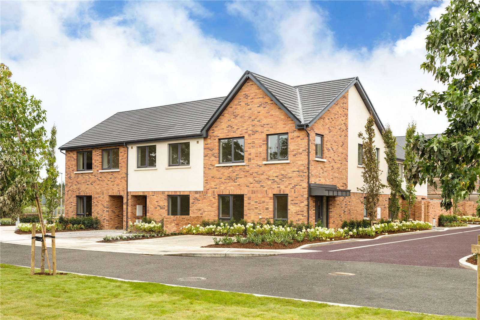 The Blossoms At Tandy's Lane, Adamstown, Lucan, Co. Dublin, DUBLIN