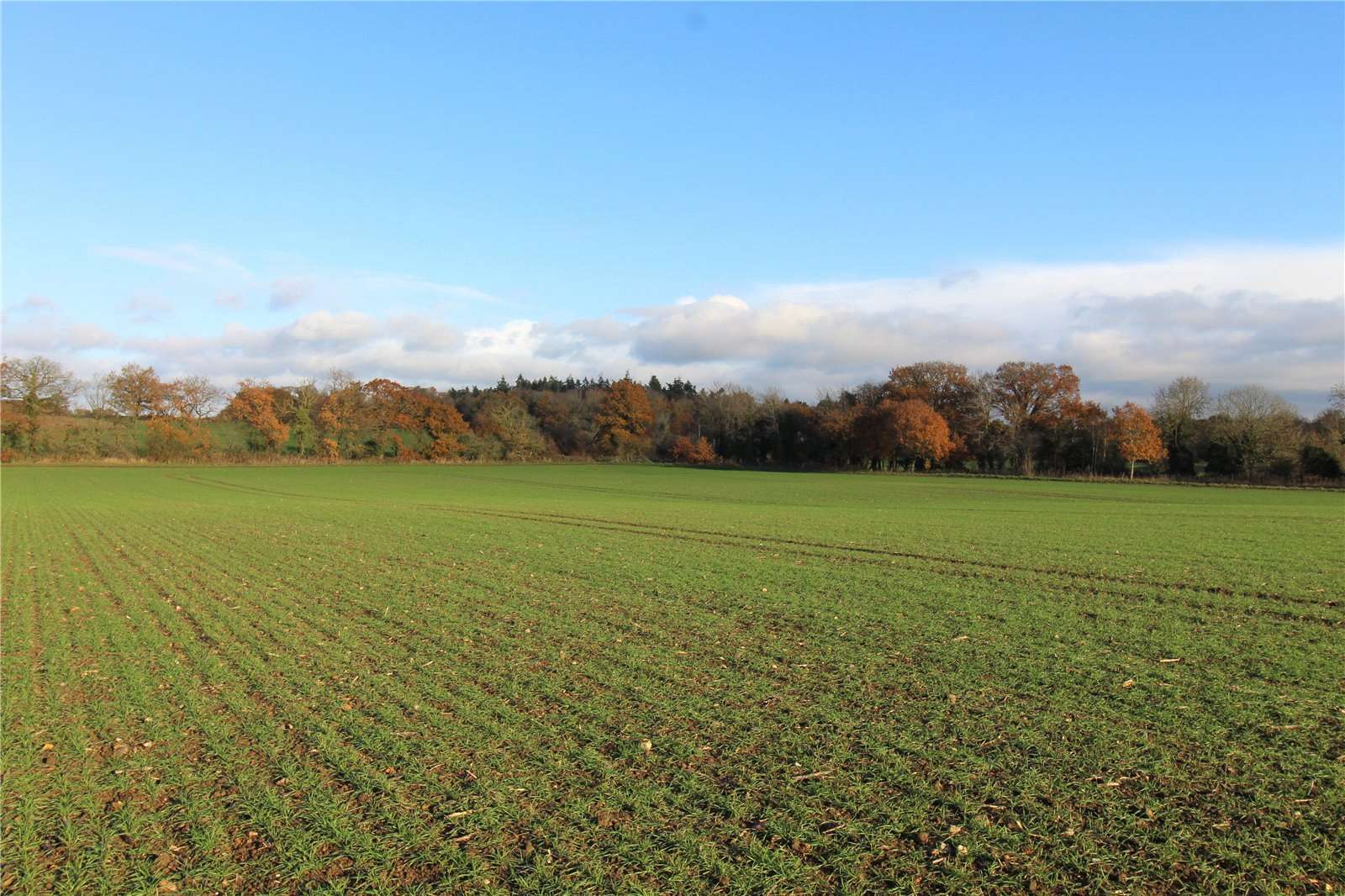 Farms for sale in Norfolk, England Savills