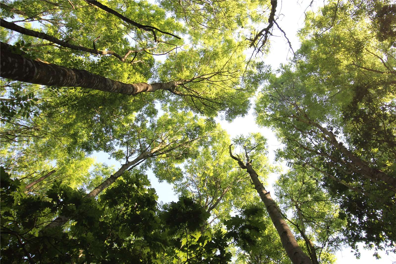 Farms for sale in Langham, Norfolk Savills