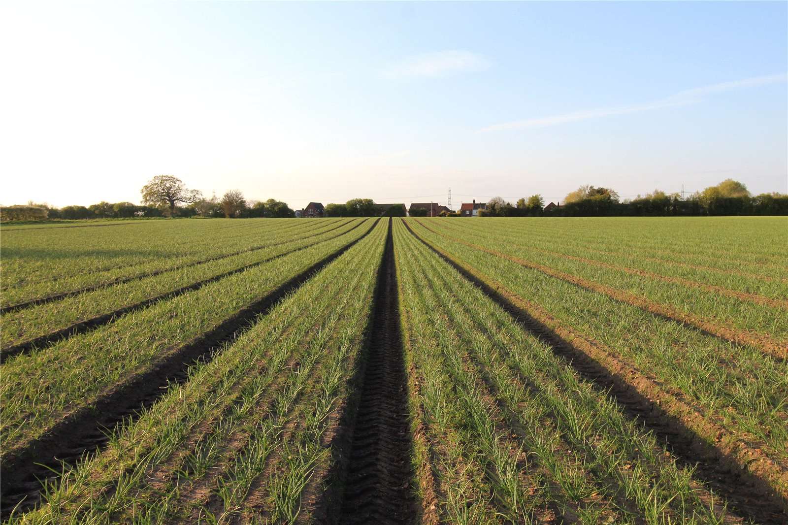 Farms for sale in Langham, Norfolk Savills