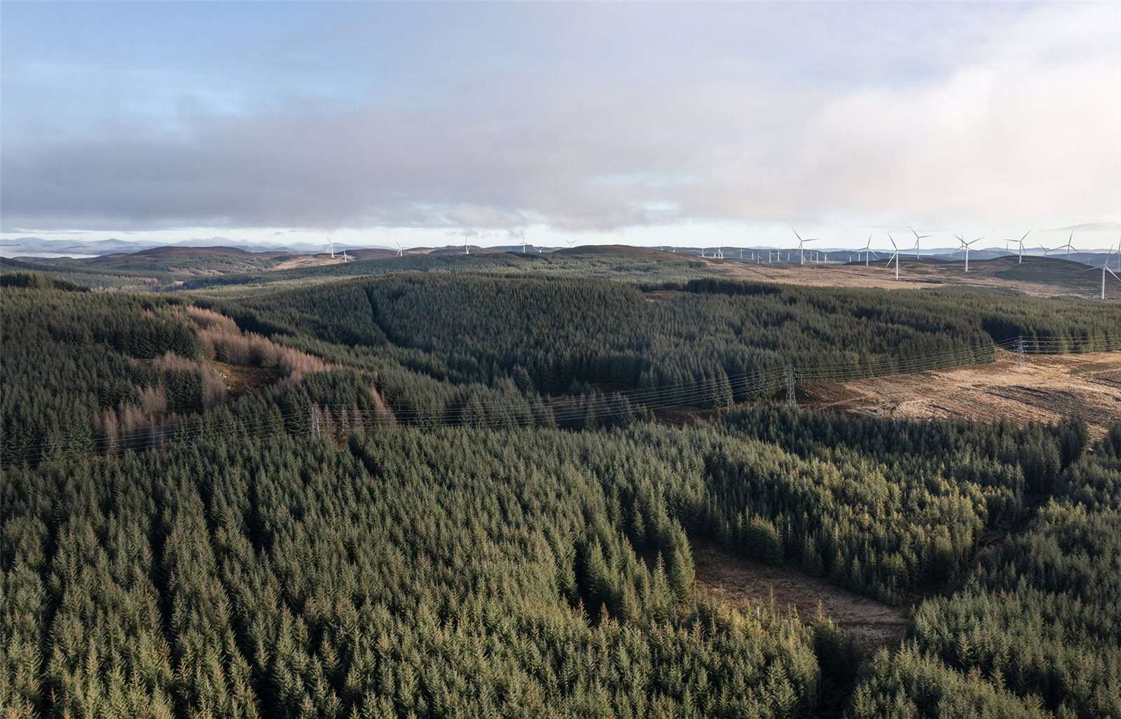 Farms for sale in Perthshire, Scotland Savills