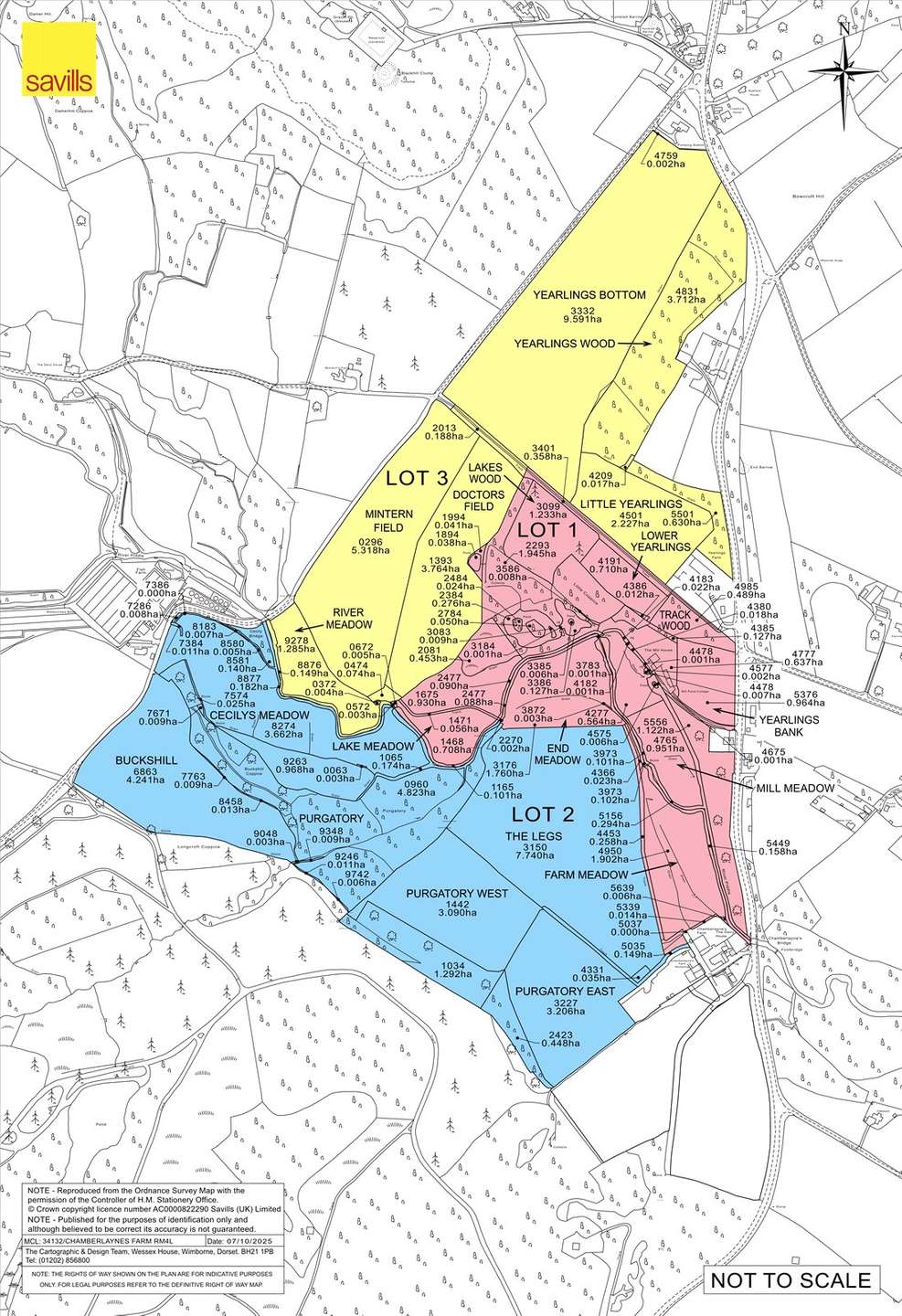 Dorset's Pastoral Masterpiece 2