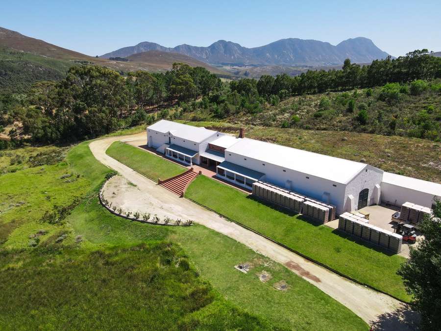 Patryskloof Farm, Hemel-En-Aarde Valley, Hermanus, Western Cape - Main Image