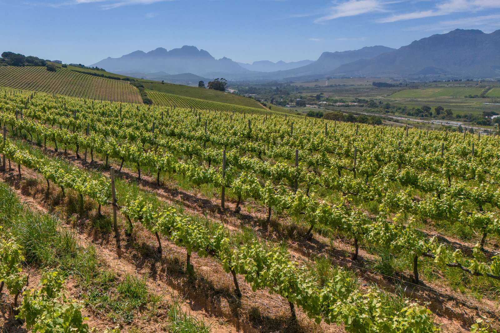 Helicopter Margan Family Wines Wine Farm Restaurants In Unbeatable