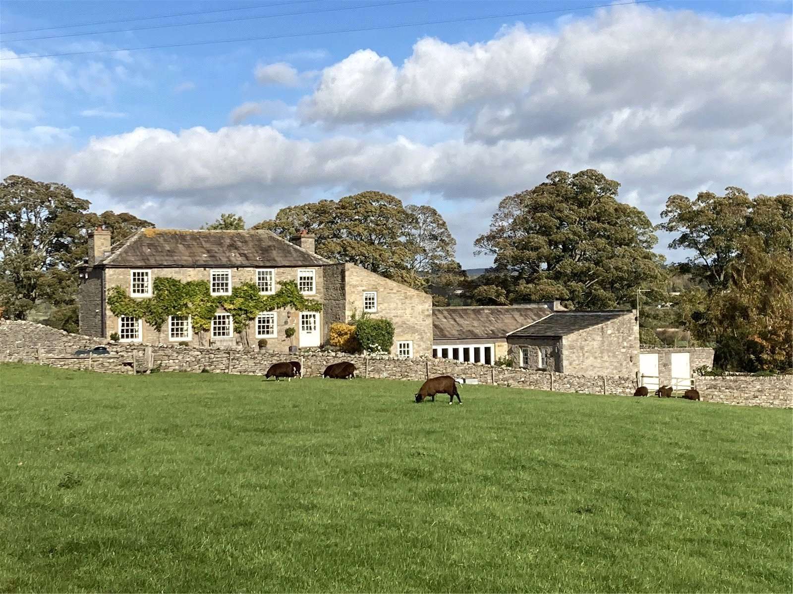 East Witton Road, Middleham, Leyburn, North Yorkshire, DL8 4PY