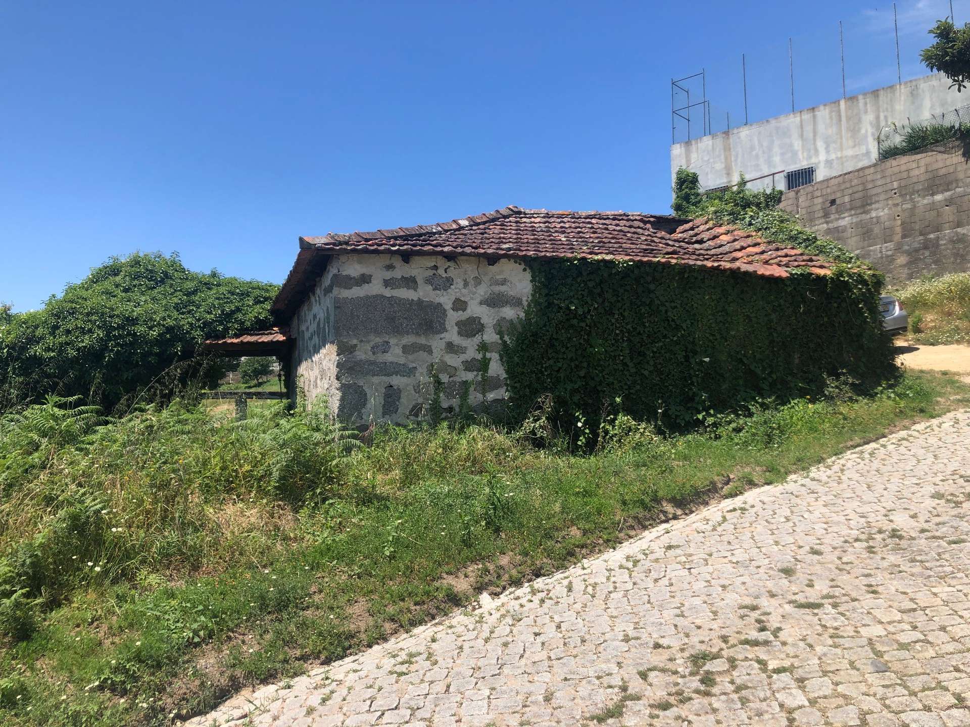 Land in Amarante, Figueiró (Santiago e Santa Cristina), Amarante