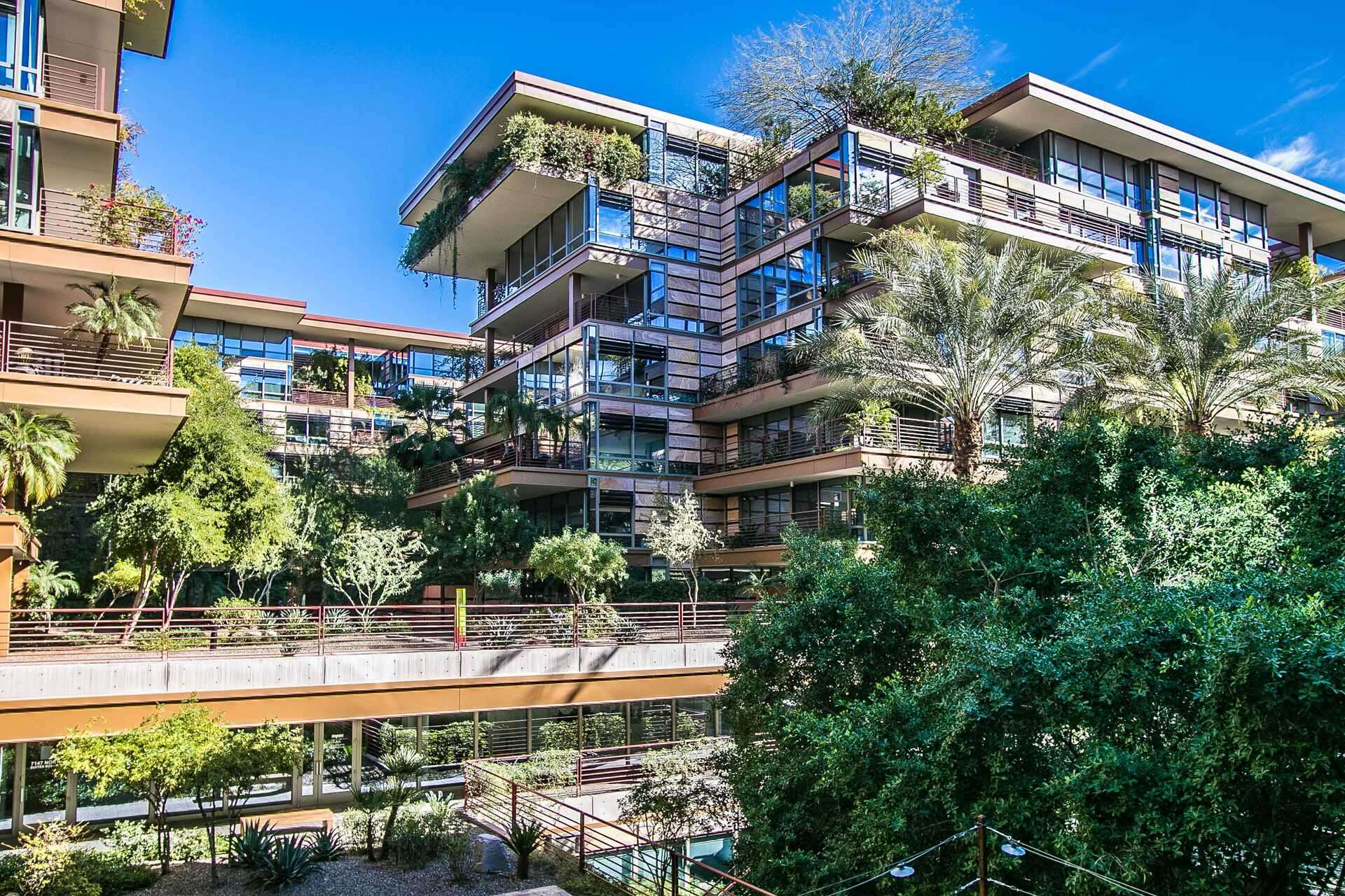 Scottsdale, Arizona 85251 | Property to rent | Savills